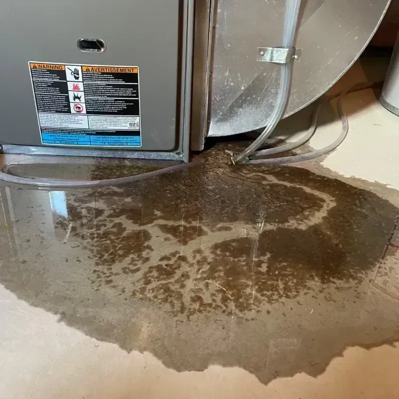 Appliance Leak Cleanup in Creve Coeur, IL